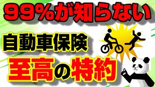 今すぐ加入推奨！自動車保険の至高の特約！ [upl. by Humph]