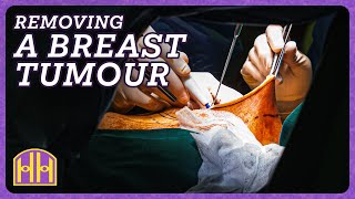 Cutting Death Out Inside the Operating Room with a Breast Cancer Surgeon  Hidden Hustles Ep 41 [upl. by Miun]