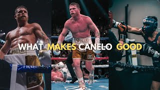 What Makes Canelo So Good 🇲🇽 [upl. by Edgerton]