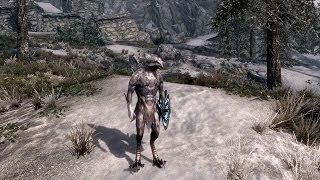 Skyrim play as Avian race from Drex Companion Mod [upl. by Yllib]