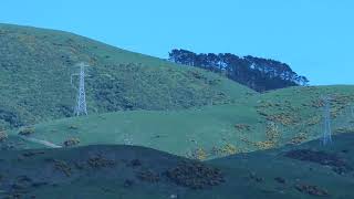 Pylons and high voltage cables visible from our house Lower Hutt New Zealand [upl. by Hebel]