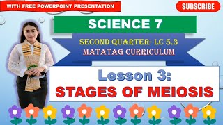 SCIENCE 7 Quarter 2 LC 53 STAGES OF MEIOSIS MATATAG CURRICULUM [upl. by Nagey]