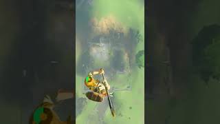 Best BIG bullseye wrecker zelda zeldabotw gamer gaming trickshots videogame tearsofthekingdom [upl. by Joel124]