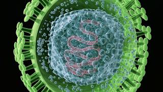 Virus Purification using Ultracentrifugation [upl. by Melc]