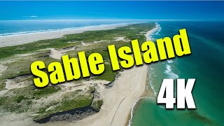 Sable Island As youve never seen before [upl. by Valoniah]