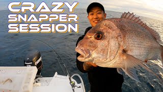 What a Way to Start Snapper Season  Crazy Inshore Snapper Fishing off Perth [upl. by Nimocks]