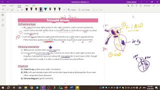 Pediatrics cardiology  tricuspid atresia amp ebstein anomaly amp truncus arteriosus [upl. by Natfa581]