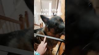 This video is for my dog Titan Roro [upl. by Cavan156]