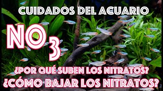 Cuidados del Acuario ¿Por qué suben los nitratos ¿Cómo puedo bajar los nitratos del acuario [upl. by Cristen295]