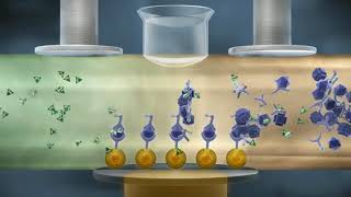 How Electrochemiluminescence ECL Works [upl. by Kalli156]