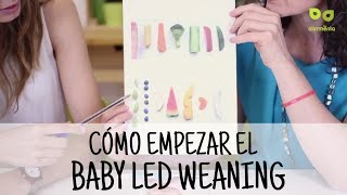 Baby Led Weaning Cómo empezar la alimentación complementaria con el método BLW [upl. by Sigrid745]