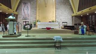 St Mary Magdalene Parish Mass Live Stream [upl. by Imorej]