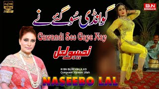 Gawandi Soo Gaye Nay  Naseebo Lal  New Punjabi Song  Mujra Dance Song 2024 [upl. by Tamara]