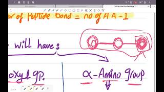 3rd lecture introduction to Biochemistry [upl. by Allcot]