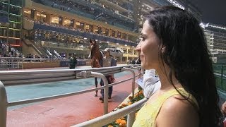 Horse Racing at the Hong Kong Jockey Club Happy Valley [upl. by Blau]