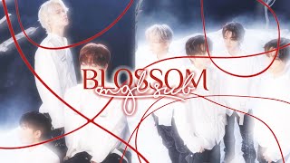 MGL SUB ENHYPEN 엔하이픈  Blossom [upl. by Housen932]