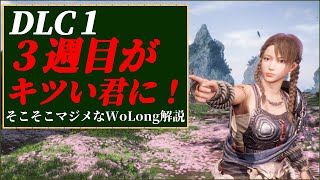 【WoLong解説】3週目以降の攻略に重要な事まとめ～変更点と下準備、装備構成編～ [upl. by Oigaib]