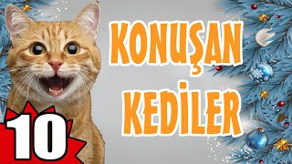 KONUŞAN KEDİLER 10  EN KOMİK KEDİ VİDEOLARI [upl. by Alrac382]