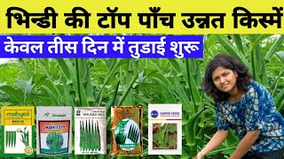 Bhindi ki 5 unnat kisme  hybrid Bhindi seeds  radika okra seed  namdhari ns 862 lady fingar seed [upl. by Ailama538]