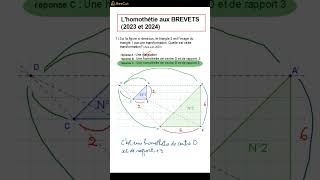 DNB 2024 Lhomothétie au BREVET [upl. by Salokcin784]