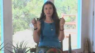 Shamanic Studies Basic Shamanic Journeying by Sandra Ingerman [upl. by Boesch]