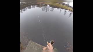 Jimbo the Fishin Musician 48  A MONSTER bluegill on the 4wt [upl. by Illom416]