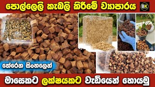 පොල්ලෙලි කැබලි කිරීමේ ව්‍යාපාරයක් පටන් ගමු  How to make coco chips business  New business ideas [upl. by Aleekahs]