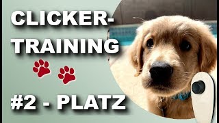 Clickertraining 2019  Hund Grundkommandos und Tricks beibringen  Lektion 2  Platz [upl. by Stich]