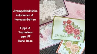 Stempelabdrücke kolorieren amp herausarbeiten  Tipps amp Techniken zum PP Rare Rose  StampinUp [upl. by Amling]