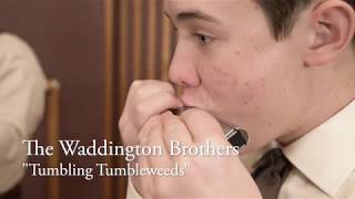 Tumblin Tumbleweeds  The Waddington Brothers [upl. by Lonee]