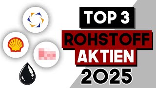 Die BESTEN Rohstoff Dividenden Aktien 2025 Shell Kazatomprom Rio Tinto [upl. by Dash474]