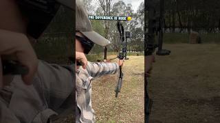 Chinese vs compound bow  whats more accurate Bow Archery [upl. by Arabella106]