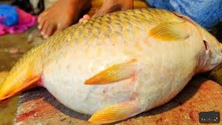 😱😱😱 I Never Seen  Giant Carp Fish Cutting Live In Fish Market  Big Carp Fish Cutting Skills [upl. by Mharg]