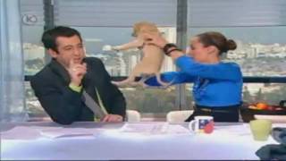 A dog poos on a table live in TV [upl. by Litt]