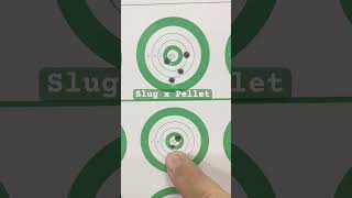 Teste de Slug na Outlander 22 slugs da Wild Hoges pcp tiroesportivo slugs pellets [upl. by Meehan]