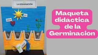 Maqueta de la germinación ♻🤩MVRC♻ [upl. by Nafri428]