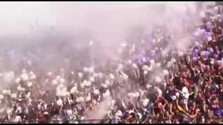 Saprissa vs Cartago  Semifinal 952013 ¡¡¡Vamos Morados [upl. by Ellekcim883]