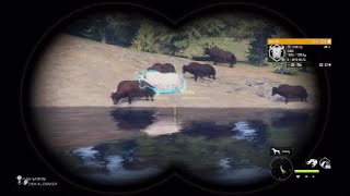 Hunting a Giant Albino yak in the hunter call of the wild [upl. by Florri]