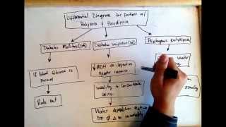 Polyuria polydipsia differential diagnose Diabetes mellitus diabetes insipidus psycho polydipsi [upl. by Margareta]