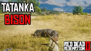 Location And Hunting of Legendary Tatanka Bison in Red Dead Redemption 2 [upl. by Anagrom]