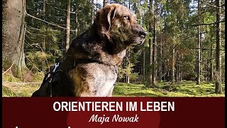 THOR  ORIENTIEREN IM LEBEN  von Maja Nowak [upl. by Tamberg446]