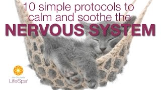 10 Simple Protocols to Calm and Soothe the Nervous System  John Douillards LifeSpa [upl. by Alyel526]