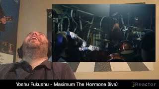 Maximum The Hormone  Yoshu Fukushu REACTION [upl. by Halfon]