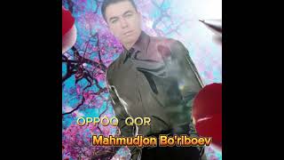 Oppoq Qor Mahmudjon Boriboev ijrosida 2025 [upl. by Solegna]