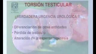 Torsión Testicular [upl. by Selden]