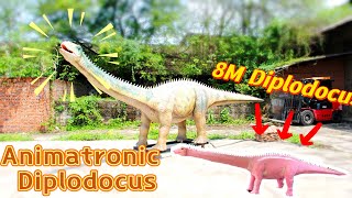 MY DINO  Large Size Animatronic Diplodocus for Park [upl. by Relyhs]