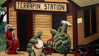 Dead amp Company quotTerrapin Stationquot  The Sphere Las Vegas NV 053124 [upl. by Marmion]