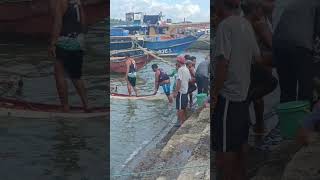 Fish port Calbayog City Philippines🇵🇭fishing philippines [upl. by Pine]