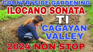 Countryside GardeningILOCANO SONATA TI CAGAYAN VALLEY 2024 NON STOPmrsmapalad [upl. by Mohsen]