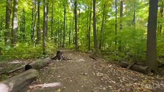 Vellore Village Woodlot8WoodbridgeOntario [upl. by Ennaxor711]